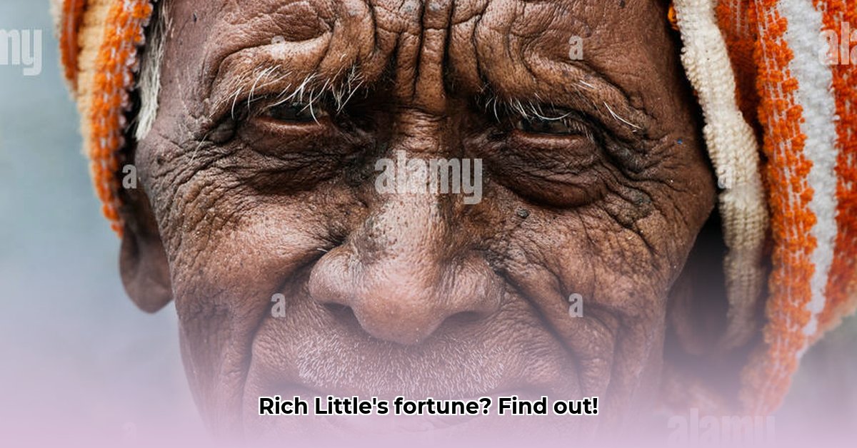 how-old-is-rich-little-net-worth